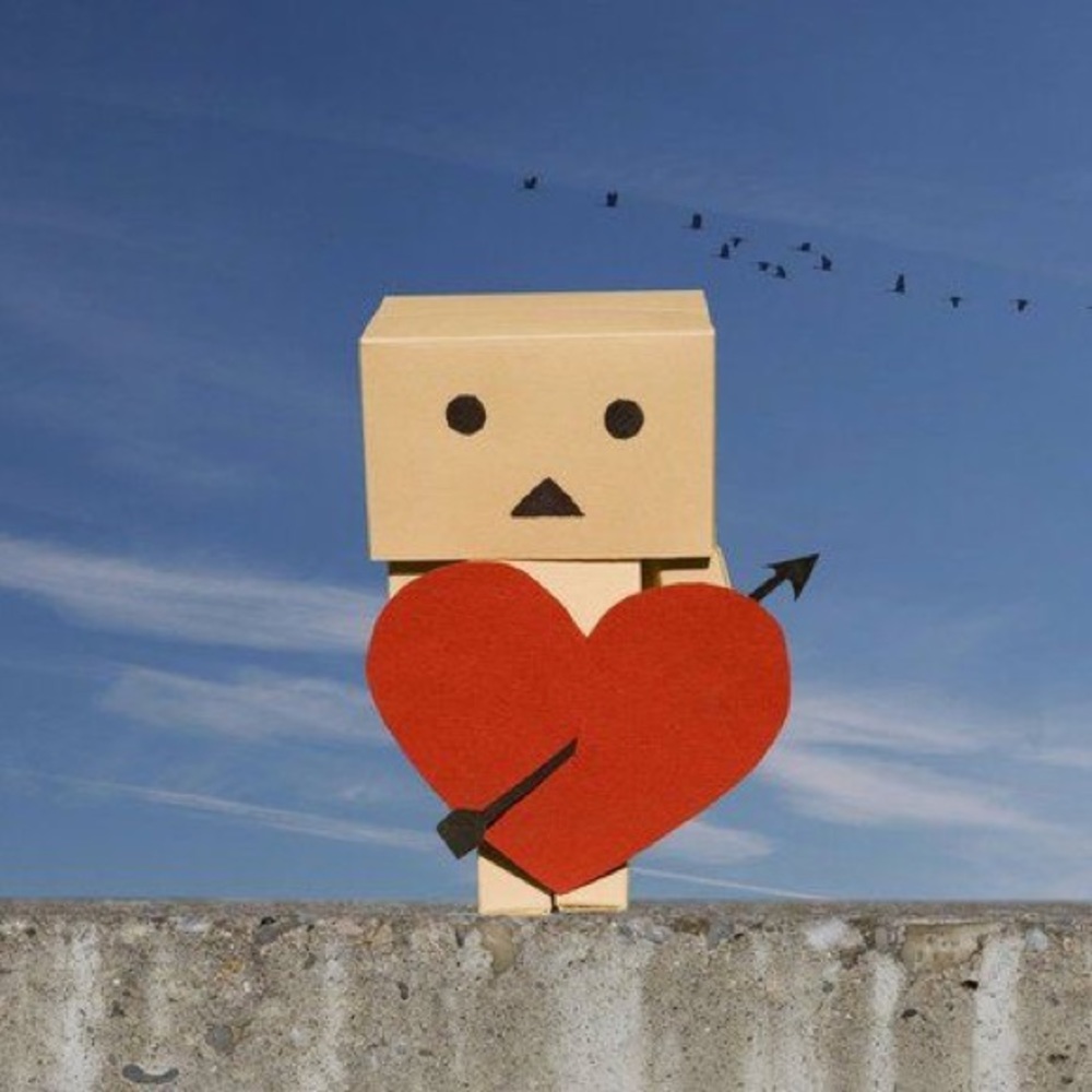 Meet your Posher, Ariel david